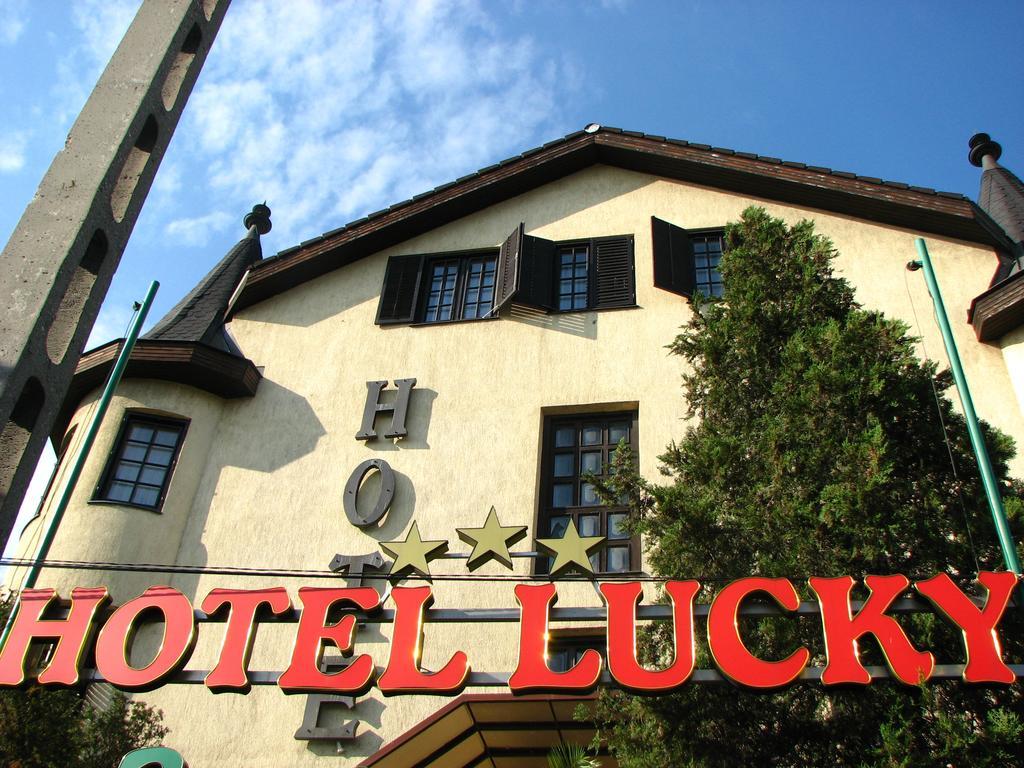 Lucky — Photos 2